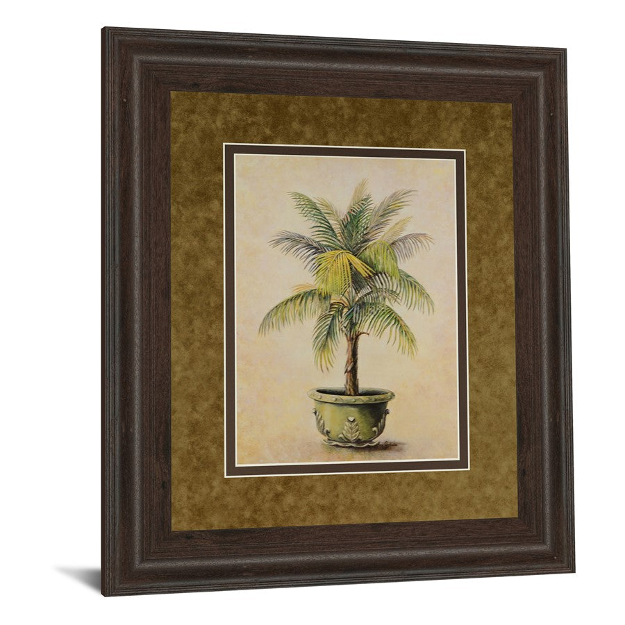 Classy Living Verdant Palm 34x40in Display Wall Art | Transitional Cinnamon Mocha MDF Frame with Real Glass | Living Room & Office Decor | Model DM2158