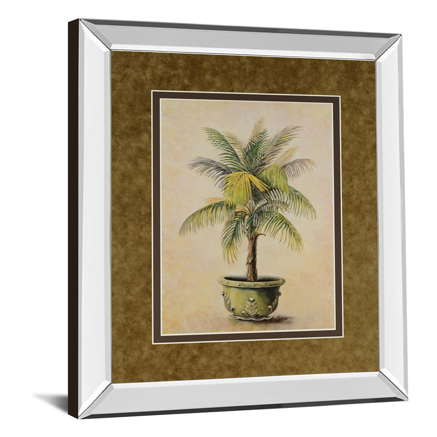 Classy Living Verdant Palm Display Wall Art 34x40in | Transitional Mirrored Frame with Botanical Print | Living Room & Office Decor | 34 | Model DM2158MF