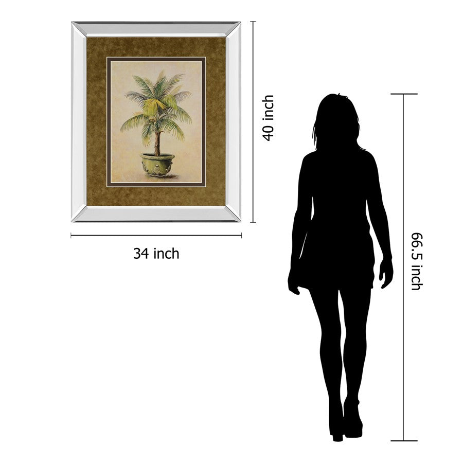 Classy Living Verdant Palm Display Wall Art 34x40in | Transitional Mirrored Frame with Botanical Print | Living Room & Office Decor | 34 | Model DM2158MF
