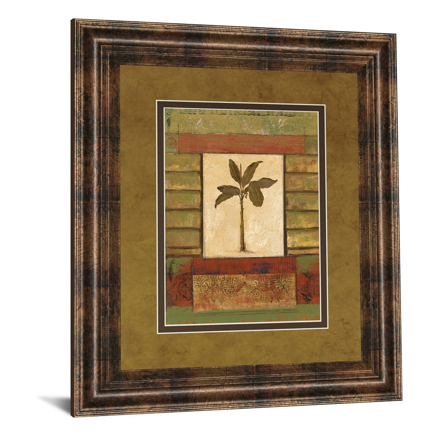 Classy Living Classic Palm II 34x40 Wall Art | Transitional Dark Chocolate Frame and Multicolor Botanical Print | Living Room & Office | Model DM5241