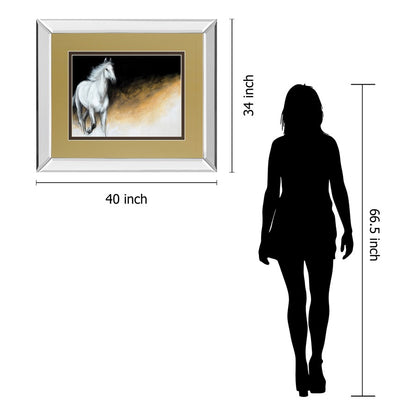 Classy Living Light and Dark 40x34in Rectangular Wall Art | Transitional Mirrored Frame and Paper Print | Living Room & Office Decor | 40 | Model DM5334MF