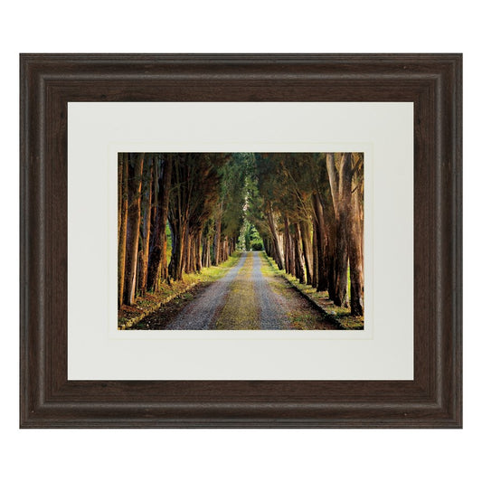 Classy Living Tree Tunnel Wall Art 40x34in Double Mat | Country/Farmhouse Cinnamon Mocha MDF Frame with Glass | Living Room & Office Decor | Model DM5341