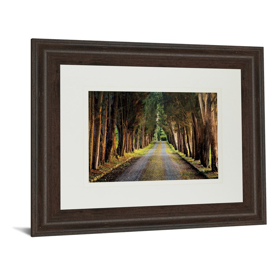 Classy Living Tree Tunnel Wall Art 40x34in Double Mat | Country/Farmhouse Cinnamon Mocha MDF Frame with Glass | Living Room & Office Decor | Model DM5341
