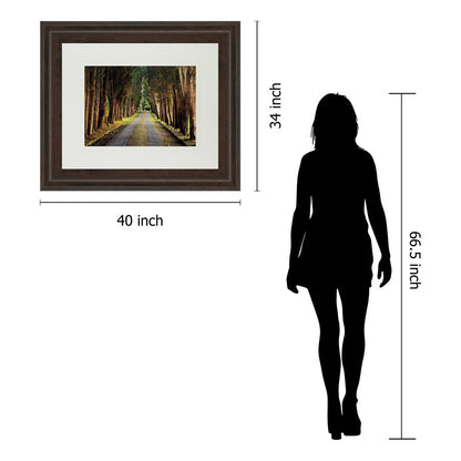 Classy Living Tree Tunnel Wall Art 40x34in Double Mat | Country/Farmhouse Cinnamon Mocha MDF Frame with Glass | Living Room & Office Decor | Model DM5341