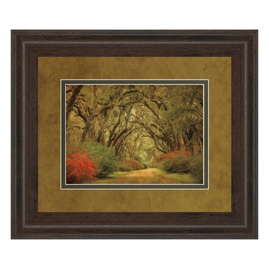 Classy Living Oak Pathway Wall Art 40x34in | Transitional Framed Print in Cinnamon Mocha MDF Frame | Living Room & Office Decor | 40 x 34 x | Model DM5342