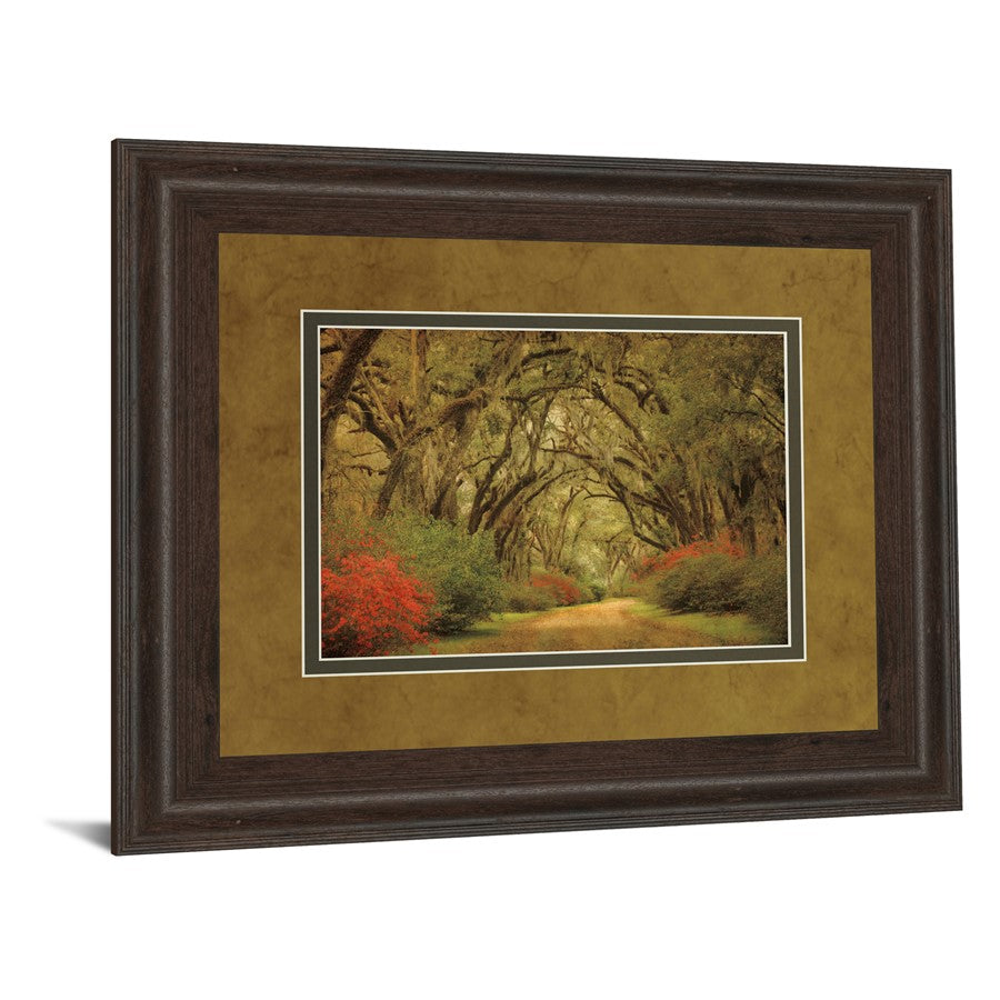 Classy Living Oak Pathway Wall Art 40x34in | Transitional Framed Print in Cinnamon Mocha MDF Frame | Living Room & Office Decor | 40 x 34 x | Model DM5342