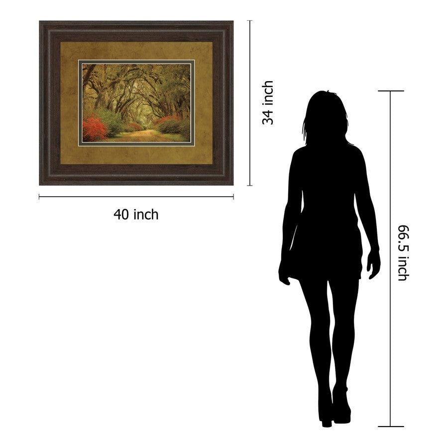 Classy Living Oak Pathway Wall Art 40x34in | Transitional Framed Print in Cinnamon Mocha MDF Frame | Living Room & Office Decor | 40 x 34 x | Model DM5342