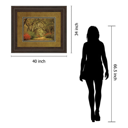 Classy Living Oak Pathway Wall Art 40x34in | Transitional Framed Print in Cinnamon Mocha MDF Frame | Living Room & Office Decor | 40 x 34 x | Model DM5342