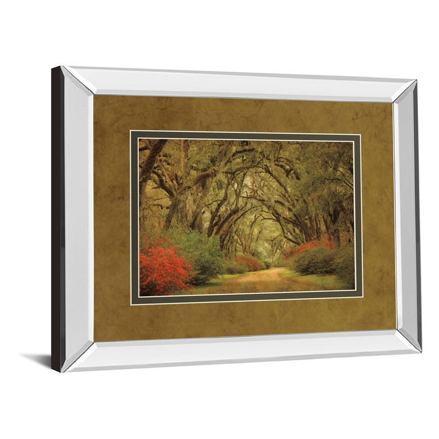 Classy Living Oak Pathway Wall Art 40x34in | Transitional Mirrored Frame | Living Room & Office Decor | 40 x 34 x 3 in | Model DM5342MF