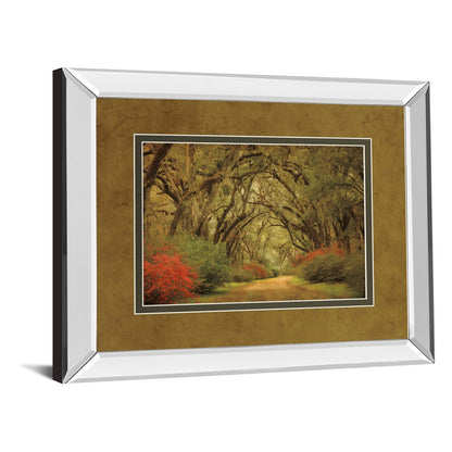 Classy Living Oak Pathway Wall Art 40x34in | Transitional Mirrored Frame | Living Room & Office Decor | 40 x 34 x 3 in | Model DM5342MF