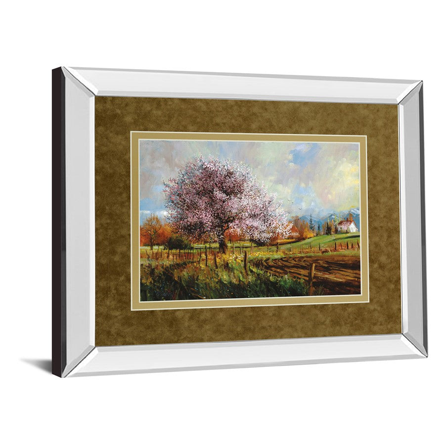Classy Living Spring Blossoms Wall Art 40x34in | Transitional Mirrored Frame & Double Matting | Living Room & Bedroom Gallery Decor | 40 | Model DM5373MF