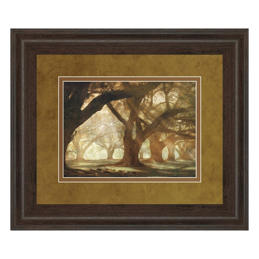 Classy Living Oak Alley Morning Light Wall Art | Country/Farmhouse Cinnamon Mocha MDF Frame | Living Room & Office Decor | 40 x 34 x 1 in | Model DM5378