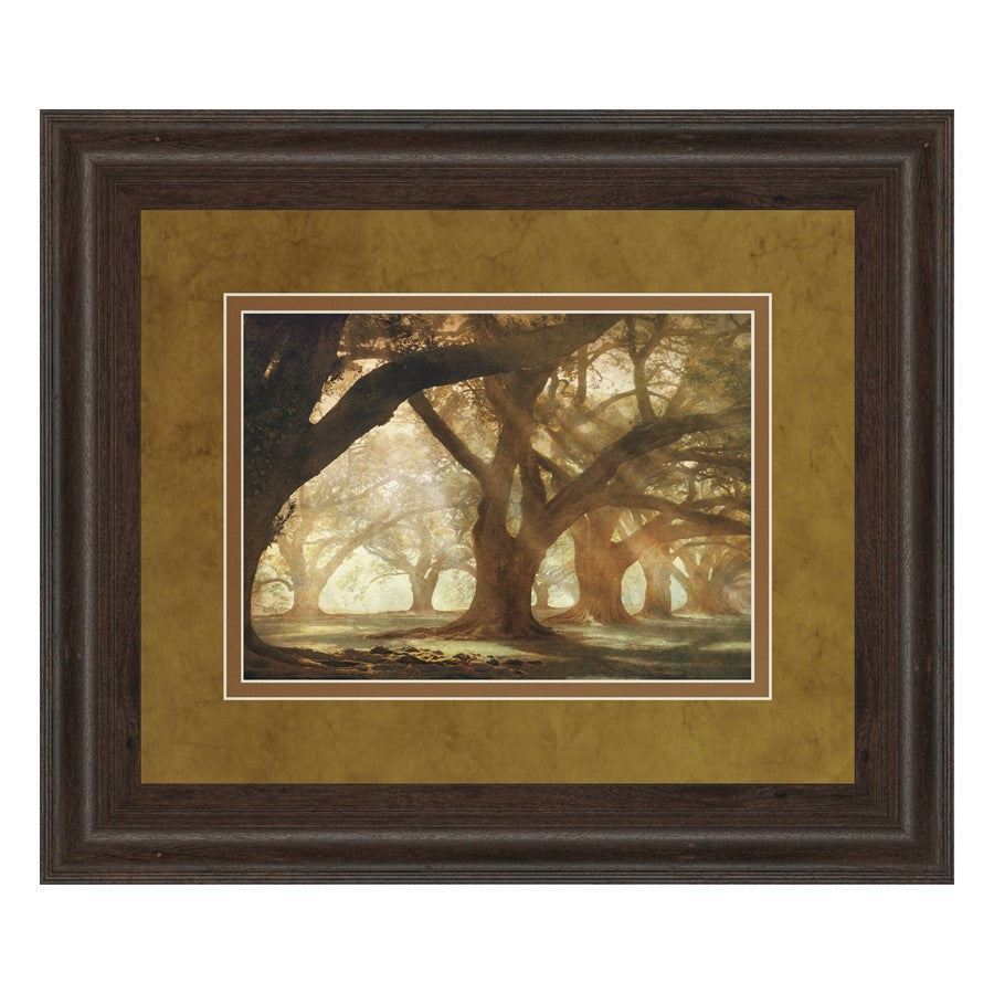 Classy Living Oak Alley Morning Light Wall Art | Country/Farmhouse Cinnamon Mocha MDF Frame | Living Room & Office Decor | 40 x 34 x 1 in | Model DM5378