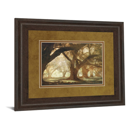 Classy Living Oak Alley Morning Light Wall Art | Country/Farmhouse Cinnamon Mocha MDF Frame | Living Room & Office Decor | 40 x 34 x 1 in | Model DM5378