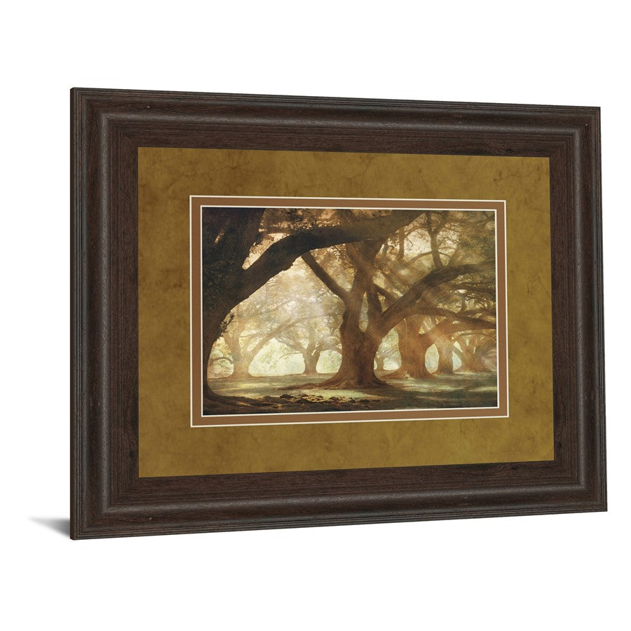 Classy Living Oak Alley Morning Light Wall Art | Country/Farmhouse Cinnamon Mocha MDF Frame | Living Room & Office Decor | 40 x 34 x 1 in | Model DM5378