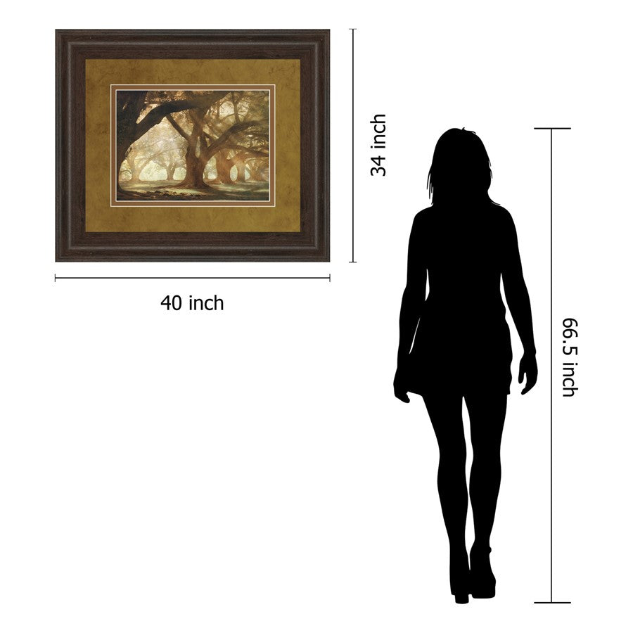 Classy Living Oak Alley Morning Light Wall Art | Country/Farmhouse Cinnamon Mocha MDF Frame | Living Room & Office Decor | 40 x 34 x 1 in | Model DM5378