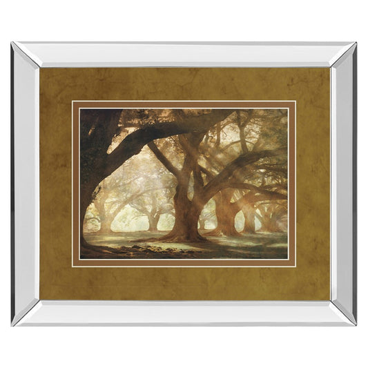 Classy Living Oak Alley Morning Light Wall Art 40x34in | Country/Farmhouse Mirrored Frame and Paper Print | Living Room & Bedroom Wall | Model DM5378MF