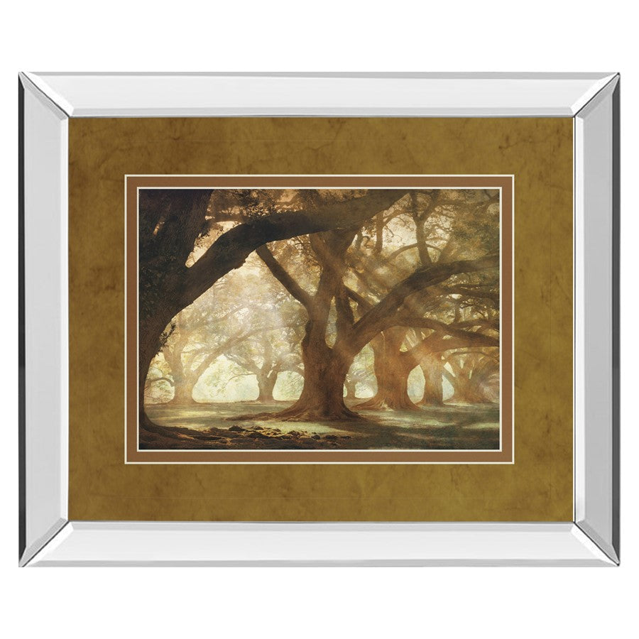 Classy Living Oak Alley Morning Light Wall Art 40x34in | Country/Farmhouse Mirrored Frame and Paper Print | Living Room & Bedroom Wall | Model DM5378MF