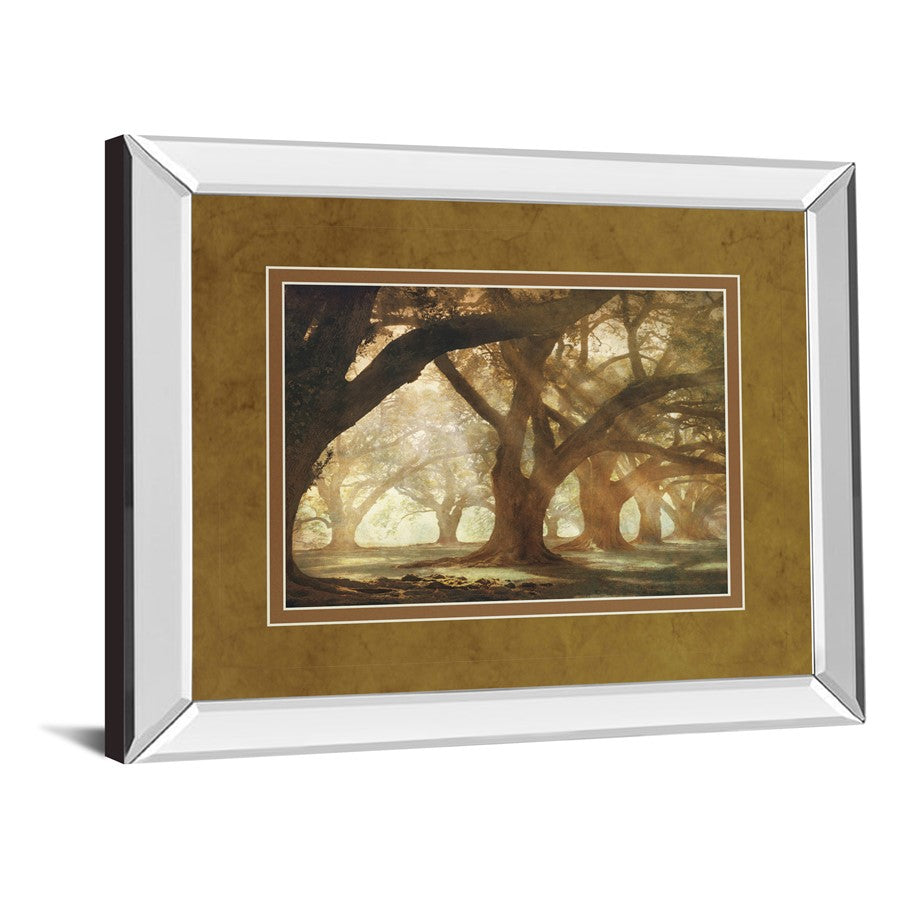 Classy Living Oak Alley Morning Light Wall Art 40x34in | Country/Farmhouse Mirrored Frame and Paper Print | Living Room & Bedroom Wall | Model DM5378MF