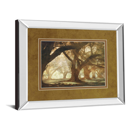 Classy Living Oak Alley Morning Light Wall Art 40x34in | Country/Farmhouse Mirrored Frame and Paper Print | Living Room & Bedroom Wall | Model DM5378MF