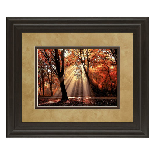 Classy Living Autumn Radiance Wall Art 40x34in | Contemporary Framed Print in Dark Chocolate MDF | Living Room & Office Decor | 40 x 34 x 1 | Model DM5390
