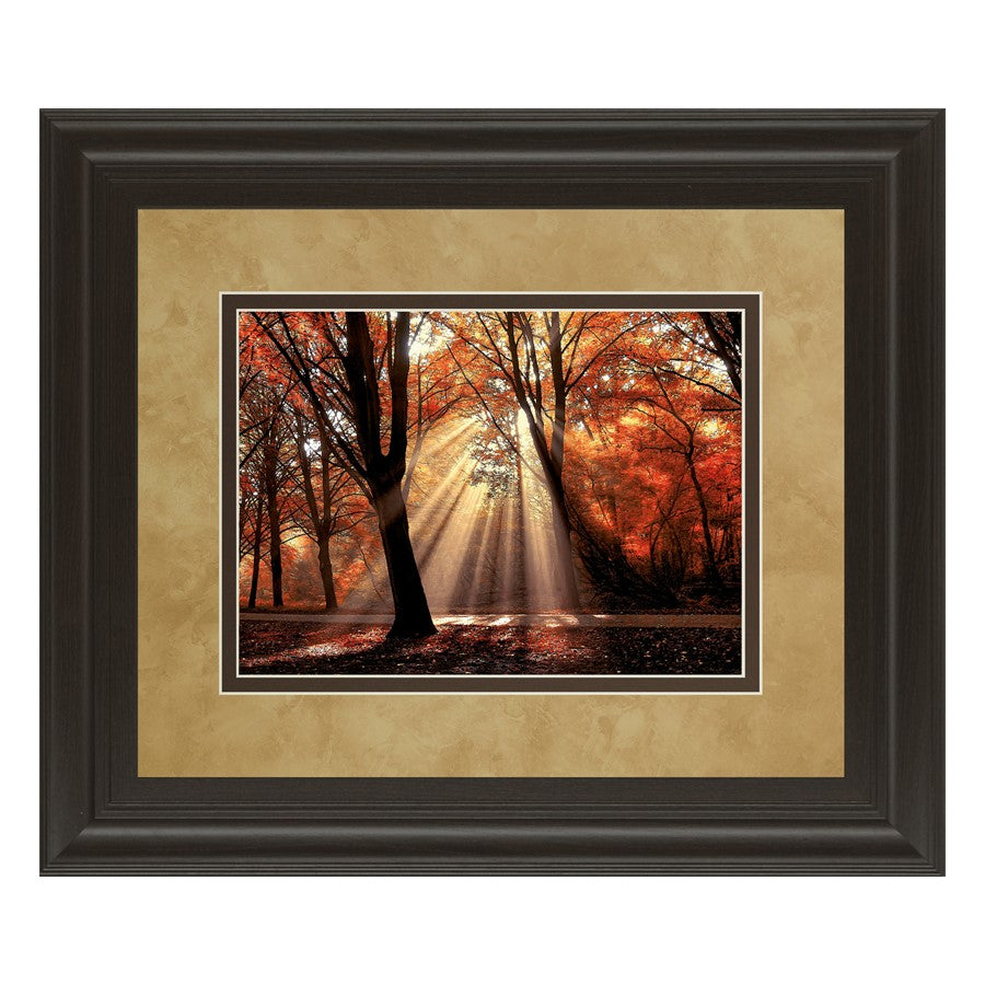 Classy Living Autumn Radiance Wall Art 40x34in | Contemporary Framed Print in Dark Chocolate MDF | Living Room & Office Decor | 40 x 34 x 1 | Model DM5390