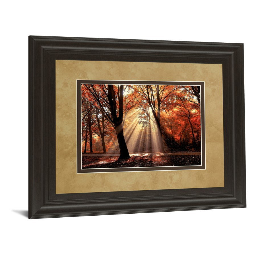 Classy Living Autumn Radiance Wall Art 40x34in | Contemporary Framed Print in Dark Chocolate MDF | Living Room & Office Decor | 40 x 34 x 1 | Model DM5390