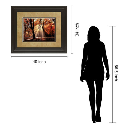 Classy Living Autumn Radiance Wall Art 40x34in | Contemporary Framed Print in Dark Chocolate MDF | Living Room & Office Decor | 40 x 34 x 1 | Model DM5390