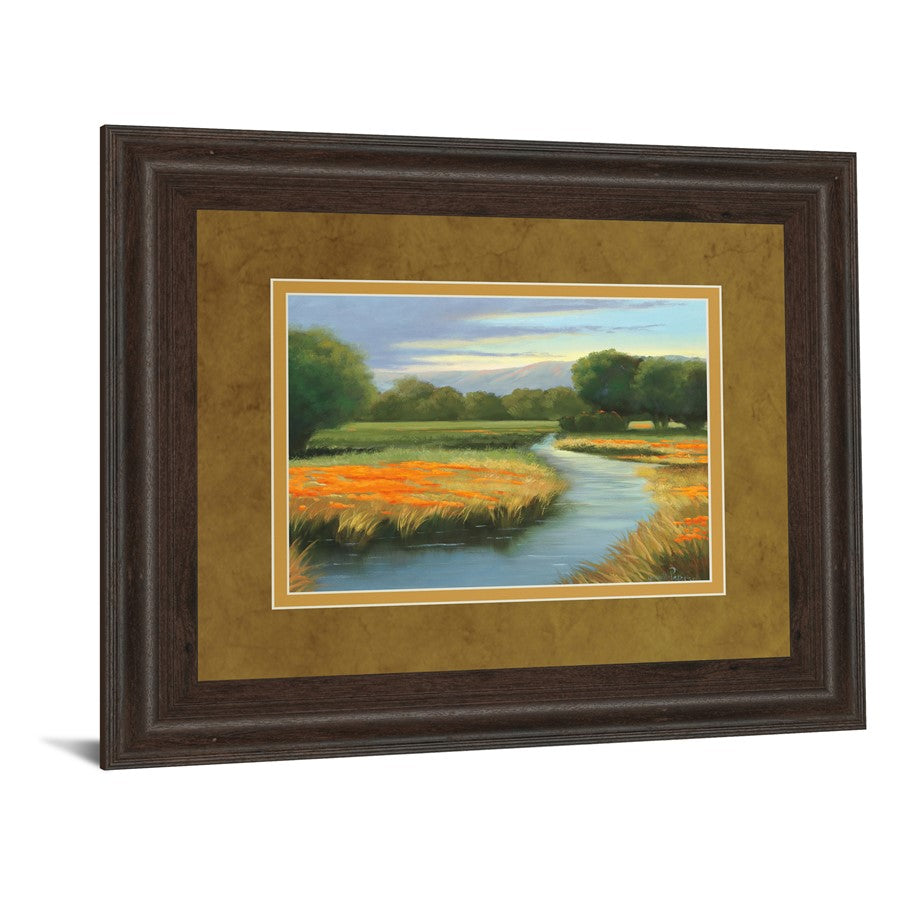Classy Living California Orange Wall Art 40x34in | Contemporary Framed Print, Cinnamon Mocha MDF Frame | Living Room & Office Decor | 40 x | Model DM5404