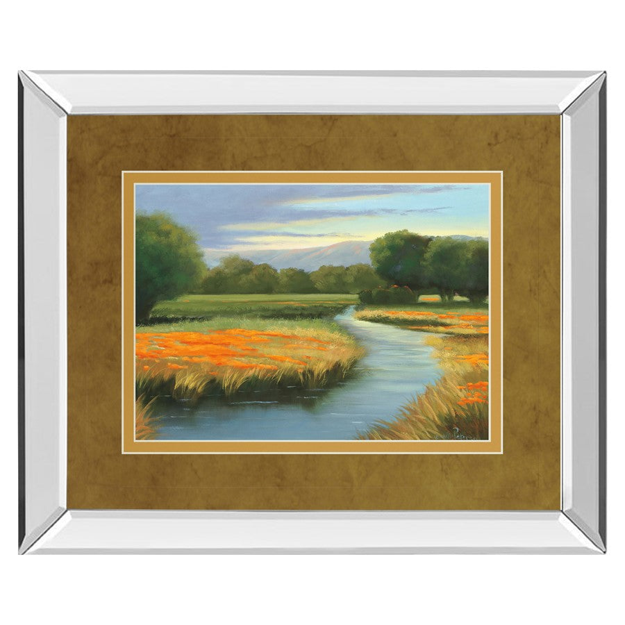 Classy Living California Orange 40x34in Wall Art | Contemporary Mirrored Frame and Double Matting | Living Room & Office Decor | 3 x 40 x | Model DM5404MF