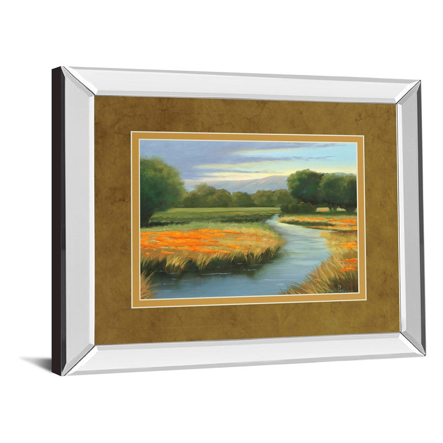 Classy Living California Orange 40x34in Wall Art | Contemporary Mirrored Frame and Double Matting | Living Room & Office Decor | 3 x 40 x | Model DM5404MF