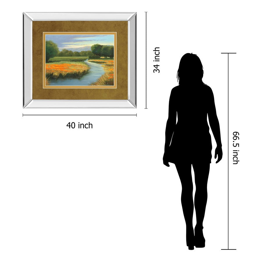 Classy Living California Orange 40x34in Wall Art | Contemporary Mirrored Frame and Double Matting | Living Room & Office Decor | 3 x 40 x | Model DM5404MF