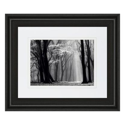 Classy Living Midnight Grove 40x34in Wall Art | Contemporary Midnight Aura MDF Frame with Real Glass | Living Room & Office Decor | 1 x 40 | Model DM5452