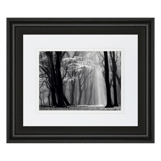 Classy Living Midnight Grove 40x34in Wall Art | Contemporary Midnight Aura MDF Frame with Real Glass | Living Room & Office Decor | 1 x 40 | Model DM5452