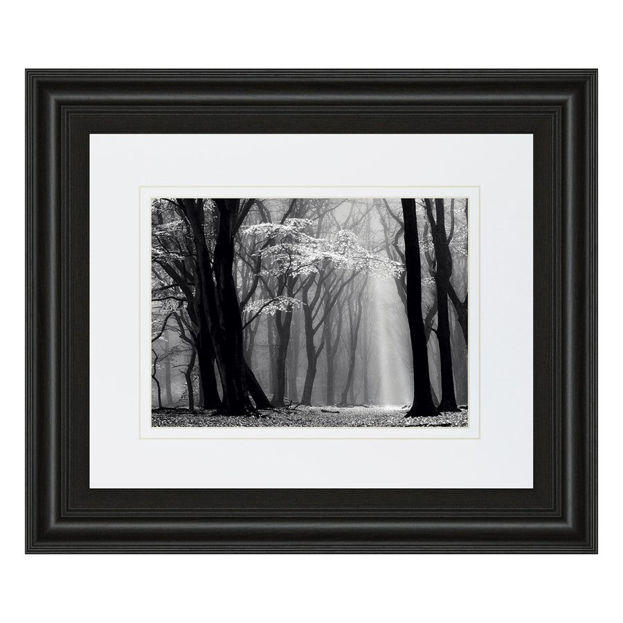 Classy Living Midnight Grove 40x34in Wall Art | Contemporary Midnight Aura MDF Frame with Real Glass | Living Room & Office Decor | 1 x 40 | Model DM5452
