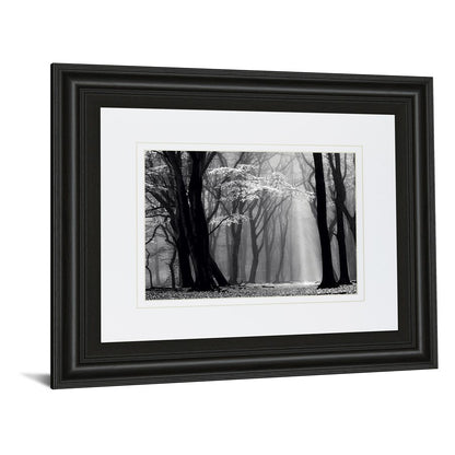 Classy Living Midnight Grove 40x34in Wall Art | Contemporary Midnight Aura MDF Frame with Real Glass | Living Room & Office Decor | 1 x 40 | Model DM5452