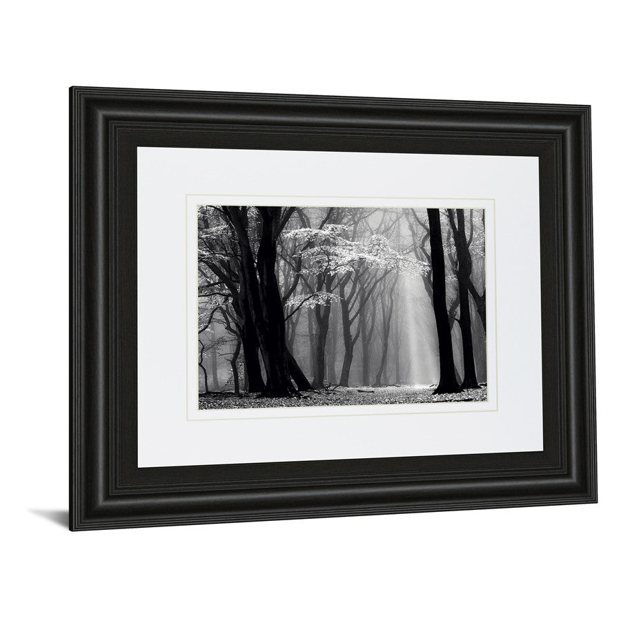 Classy Living Midnight Grove 40x34in Wall Art | Contemporary Midnight Aura MDF Frame with Real Glass | Living Room & Office Decor | 1 x 40 | Model DM5452