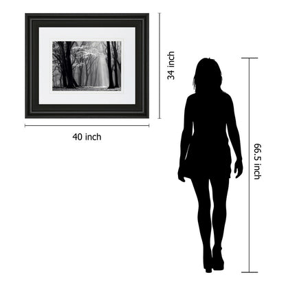Classy Living Midnight Grove 40x34in Wall Art | Contemporary Midnight Aura MDF Frame with Real Glass | Living Room & Office Decor | 1 x 40 | Model DM5452