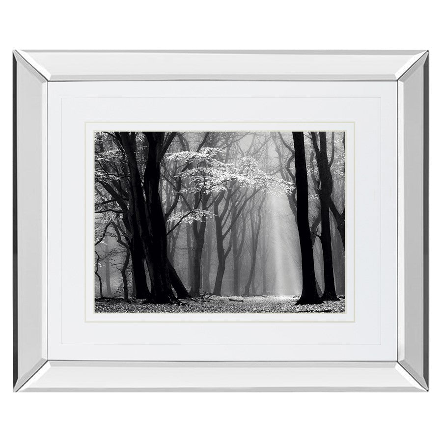 Classy Living Midnight Grove 40x34in Wall Art | Contemporary Mirrored Frame | Living Room, Bedroom & Office Decor | 3 x 40 x 34 in | Model DM5452MF