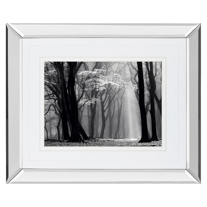 Classy Living Midnight Grove 40x34in Wall Art | Contemporary Mirrored Frame | Living Room, Bedroom & Office Decor | 3 x 40 x 34 in | Model DM5452MF