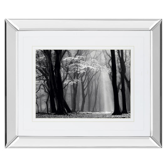 Classy Living Midnight Grove 40x34in Wall Art | Contemporary Mirrored Frame | Living Room, Bedroom & Office Decor | 3 x 40 x 34 in | Model DM5452MF