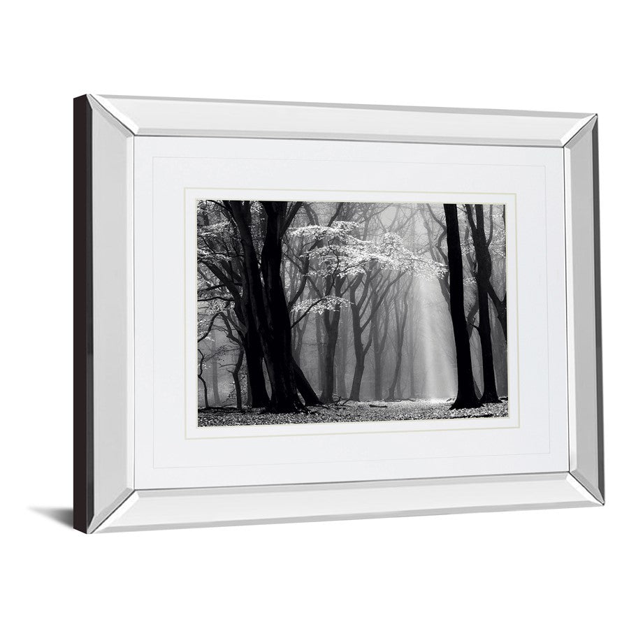 Classy Living Midnight Grove 40x34in Wall Art | Contemporary Mirrored Frame | Living Room, Bedroom & Office Decor | 3 x 40 x 34 in | Model DM5452MF