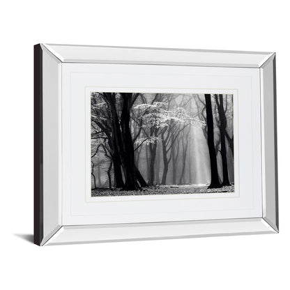 Classy Living Midnight Grove 40x34in Wall Art | Contemporary Mirrored Frame | Living Room, Bedroom & Office Decor | 3 x 40 x 34 in | Model DM5452MF