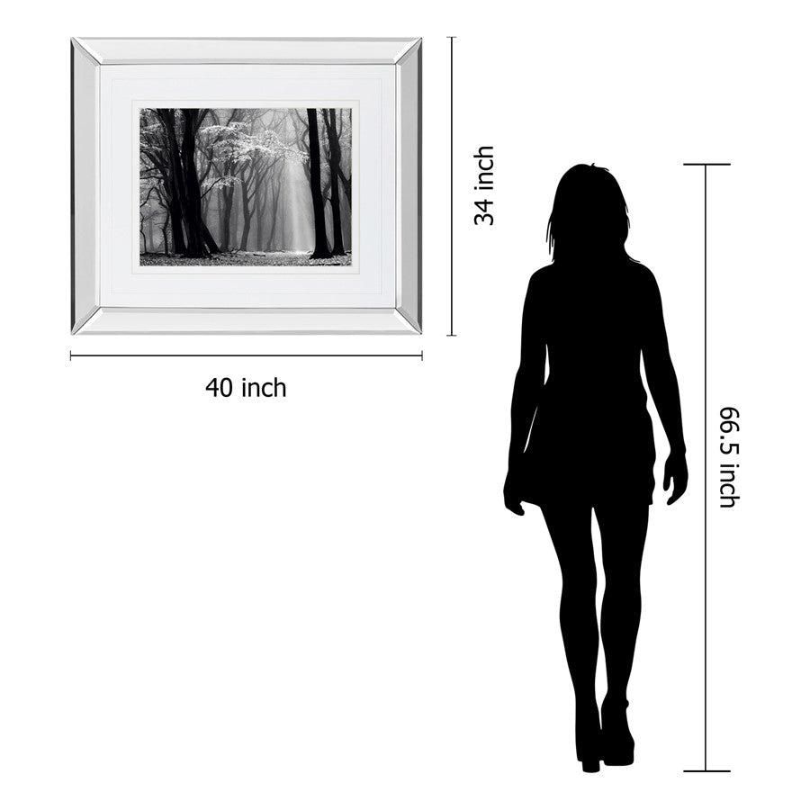 Classy Living Midnight Grove 40x34in Wall Art | Contemporary Mirrored Frame | Living Room, Bedroom & Office Decor | 3 x 40 x 34 in | Model DM5452MF