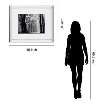 Classy Living Midnight Grove 40x34in Wall Art | Contemporary Mirrored Frame | Living Room, Bedroom & Office Decor | 3 x 40 x 34 in | Model DM5452MF