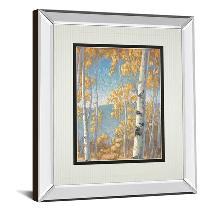 Classy Living Honey Birch II 34x40in Wall Art | Transitional Mirrored Frame with Double Matting | Living Room & Bedroom Decor | 34 x 40 x | Model DM5478MF