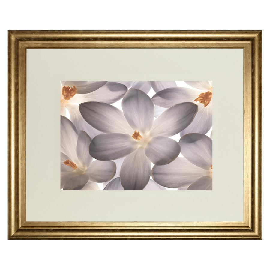 Classy Living Petal Whisper 40x34in Wall Art | Transitional Gilded Radiance MDF Frame | Living Room & Bedroom Botanical Decor | 1 x 40 x 34 | Model DM5527