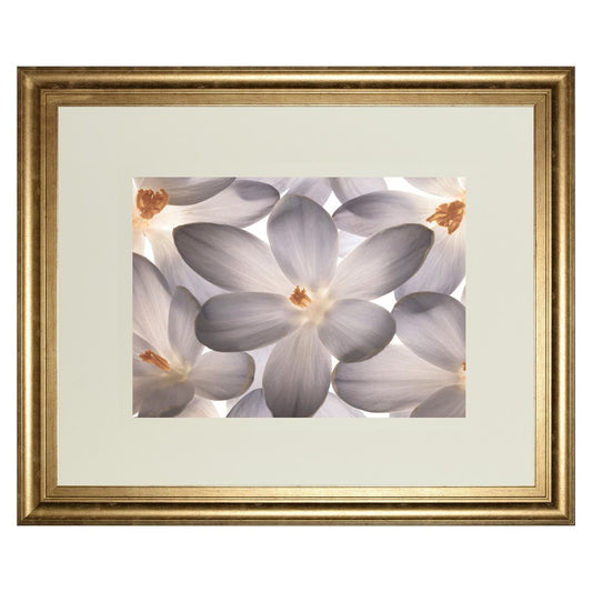 Classy Living Petal Whisper 40x34in Wall Art | Transitional Gilded Radiance MDF Frame | Living Room & Bedroom Botanical Decor | 1 x 40 x 34 | Model DM5527
