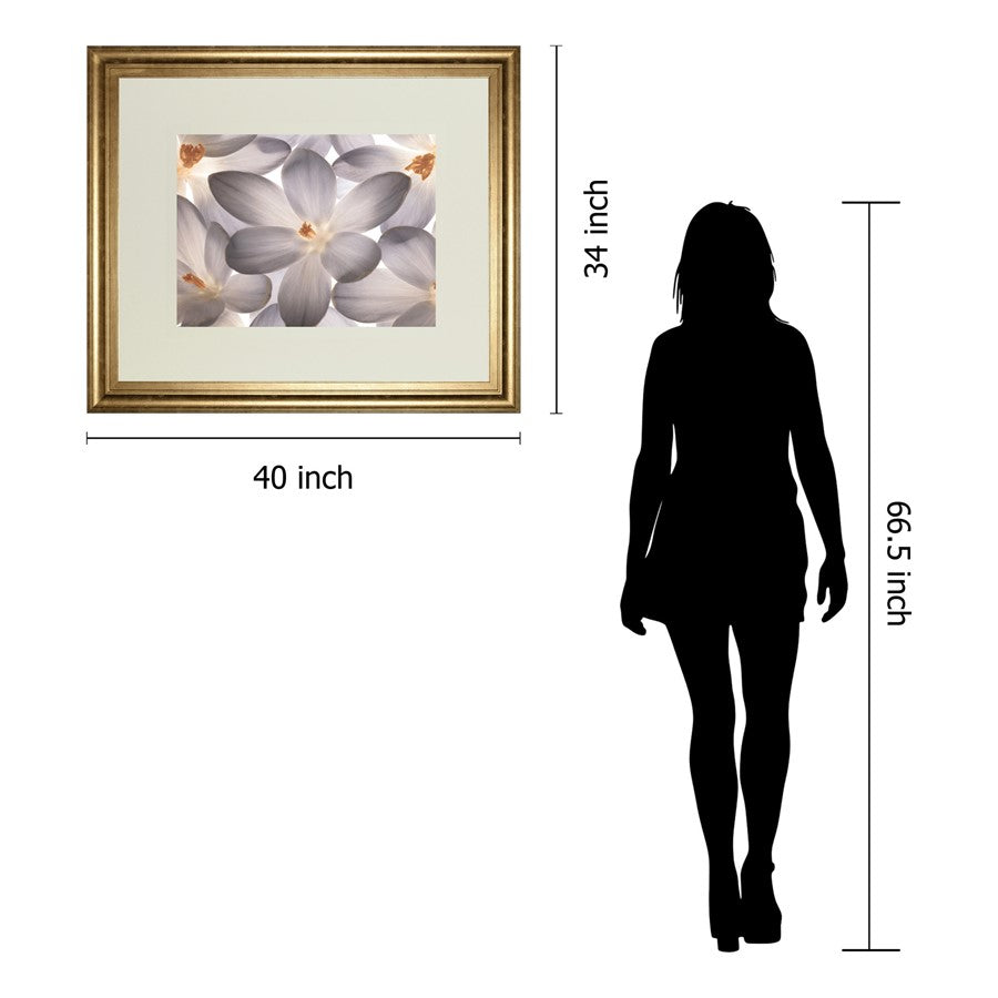 Classy Living Petal Whisper 40x34in Wall Art | Transitional Gilded Radiance MDF Frame | Living Room & Bedroom Botanical Decor | 1 x 40 x 34 | Model DM5527