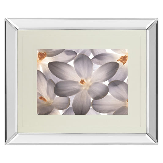 Classy Living Petal Whisper 40x34in Wall Art | Transitional Mirrored Frame with Double Matting | Living Room & Bedroom Botanical Decor | Model DM5527MF
